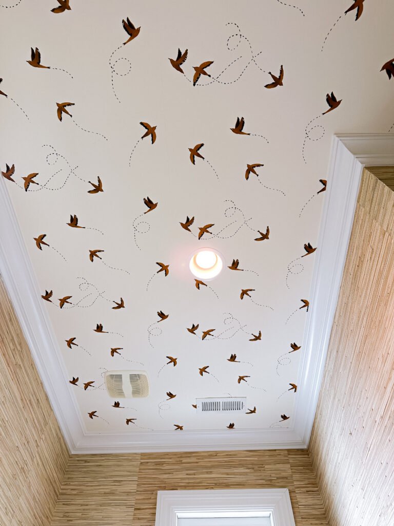 Powder Room Ceiling - Monroe, NC